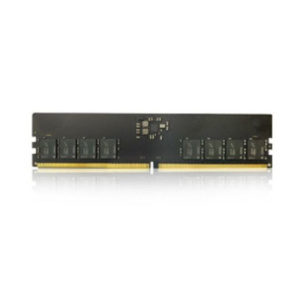 Ram PC Kingmax 8GB DDR5 bus 5600 - Vietitpro.vn